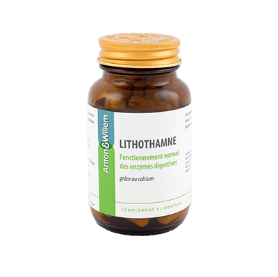 Lithothamne