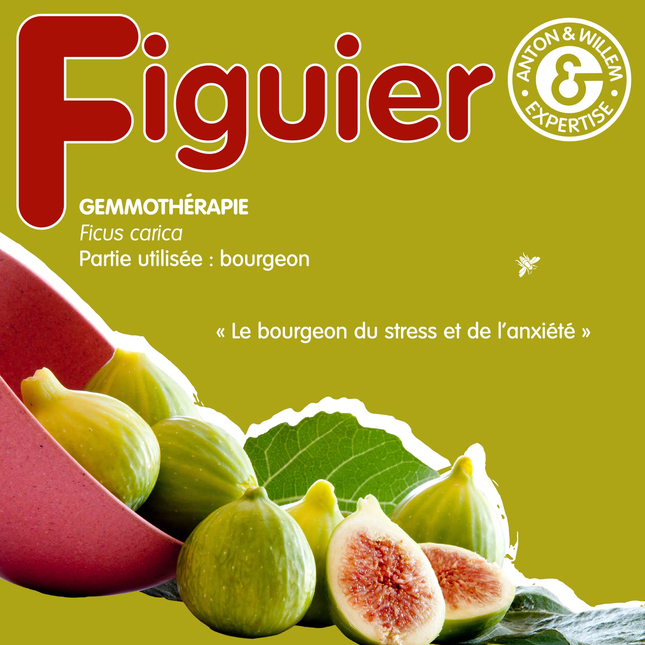 Figuier