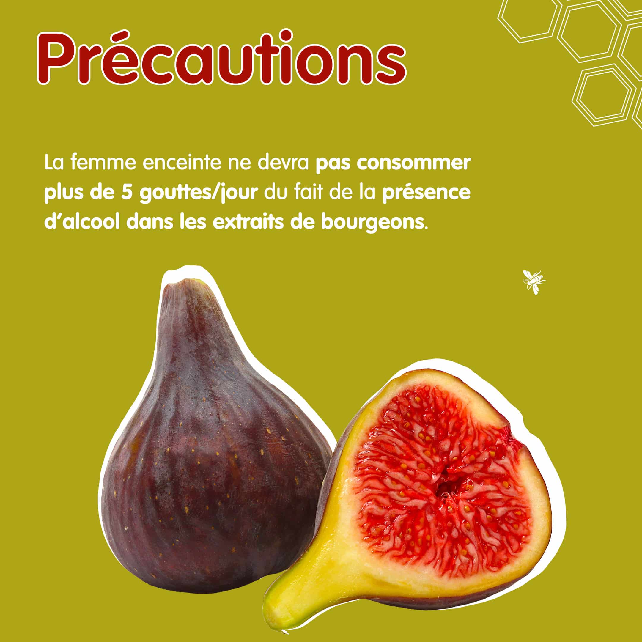 RS Figuier Bg 3 Précautions figuier