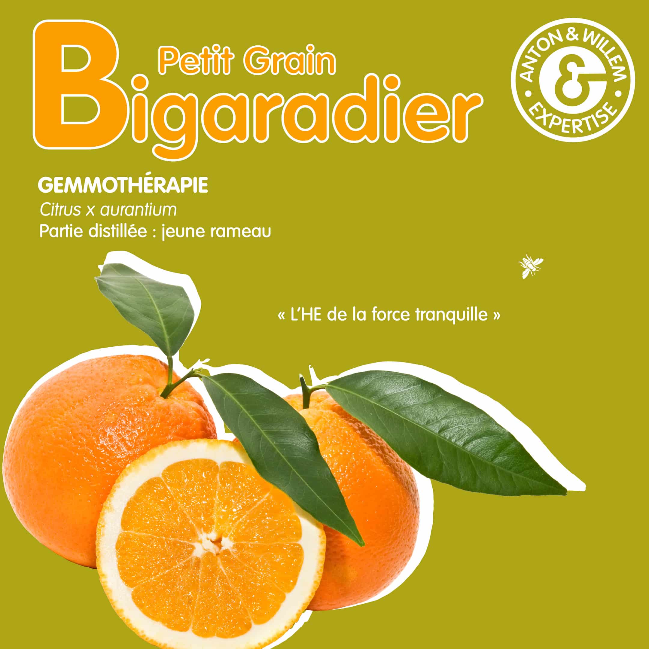 Bigaradier