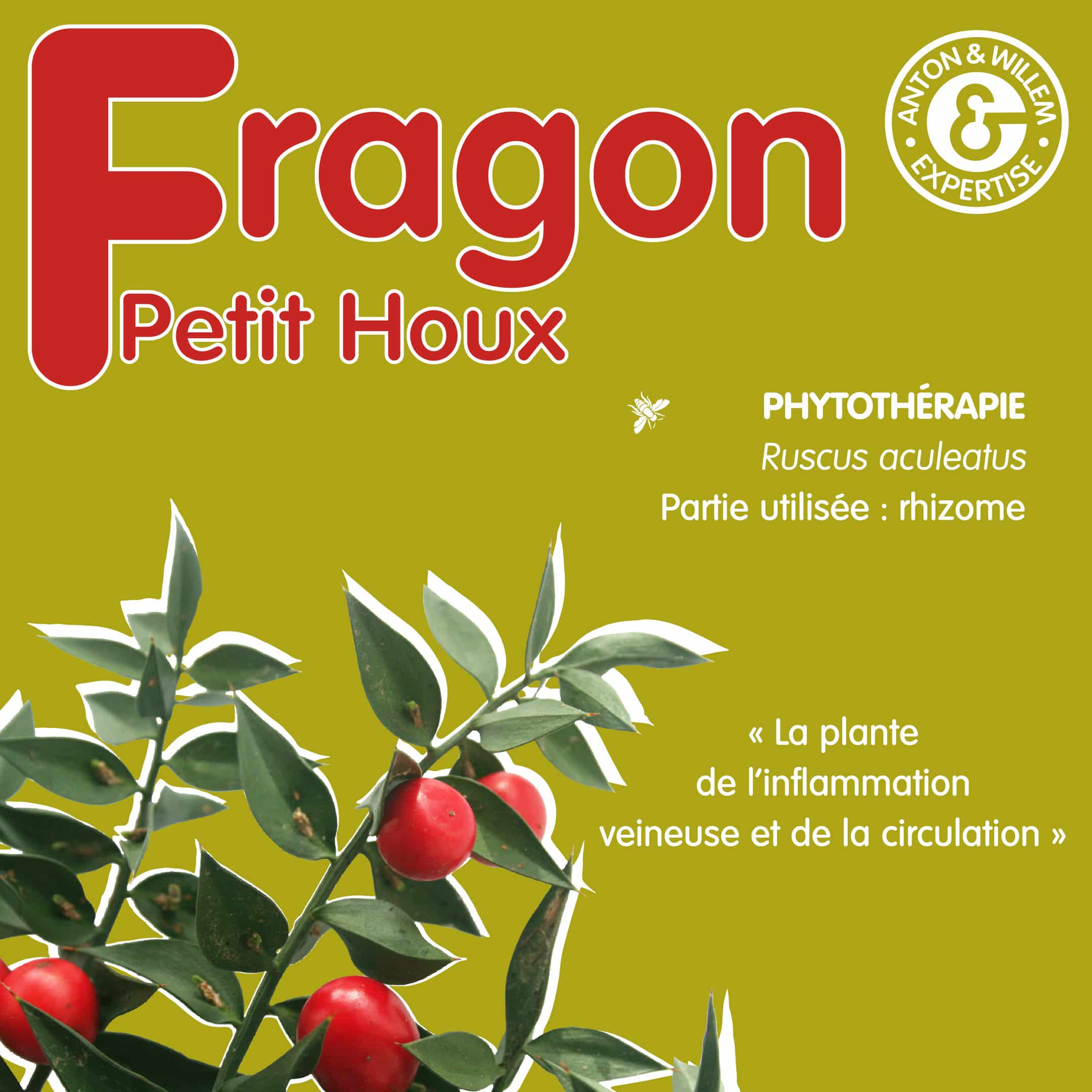 RS Fragon 1 Fragon