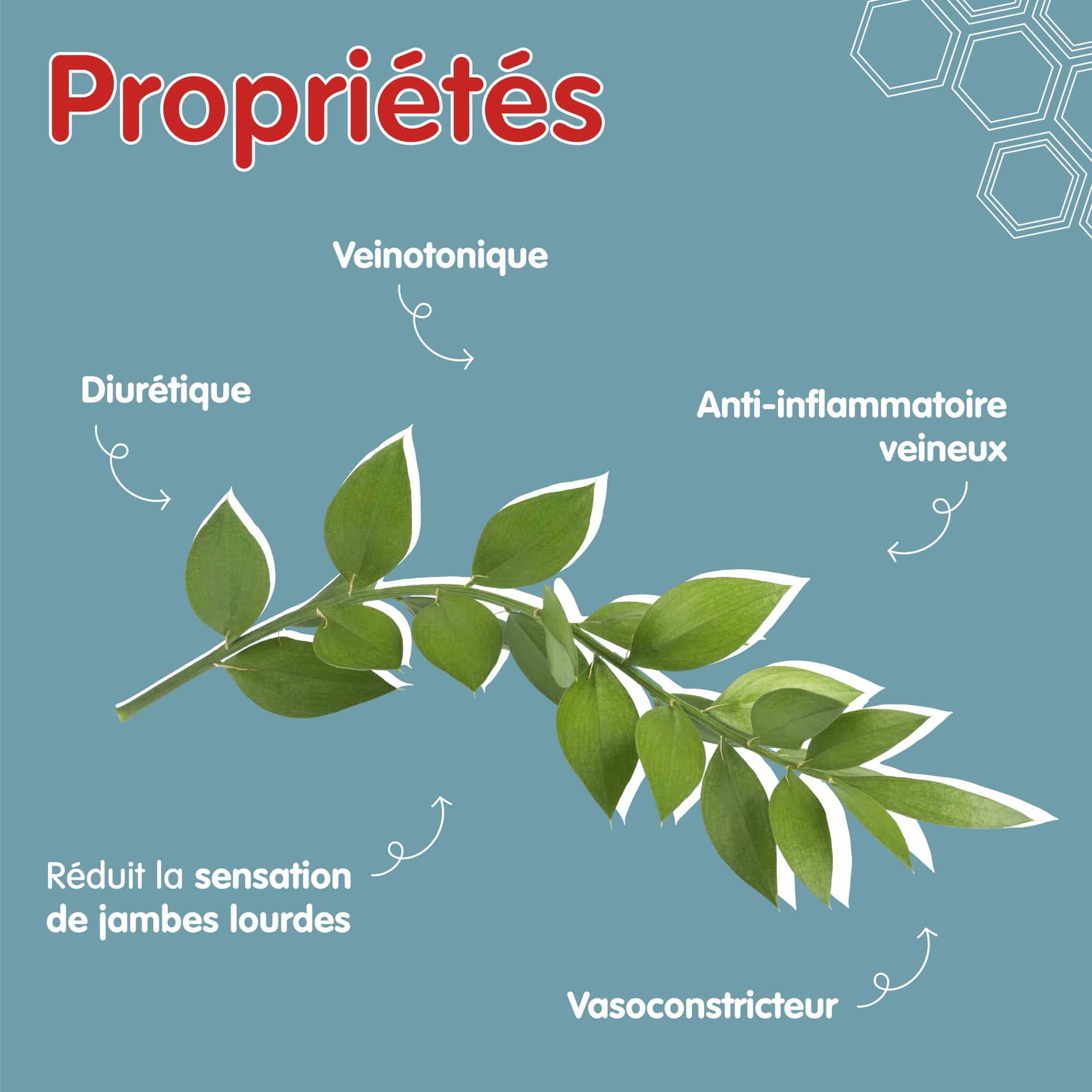 Propriétés Fragon