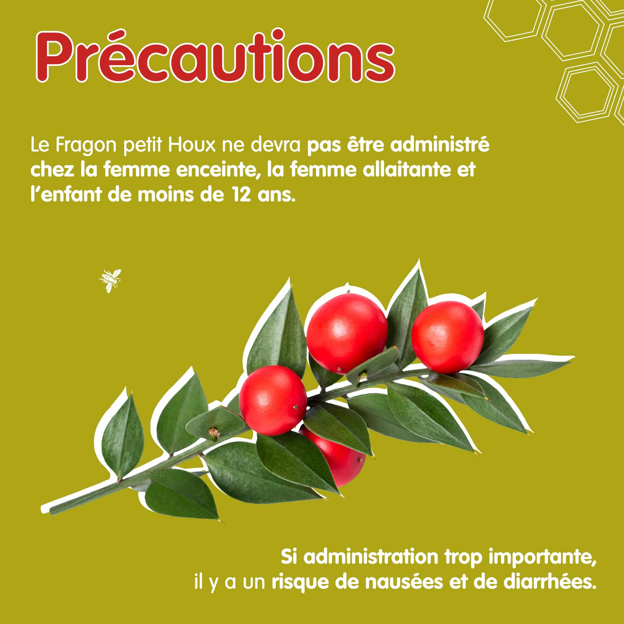 Précautions fragon