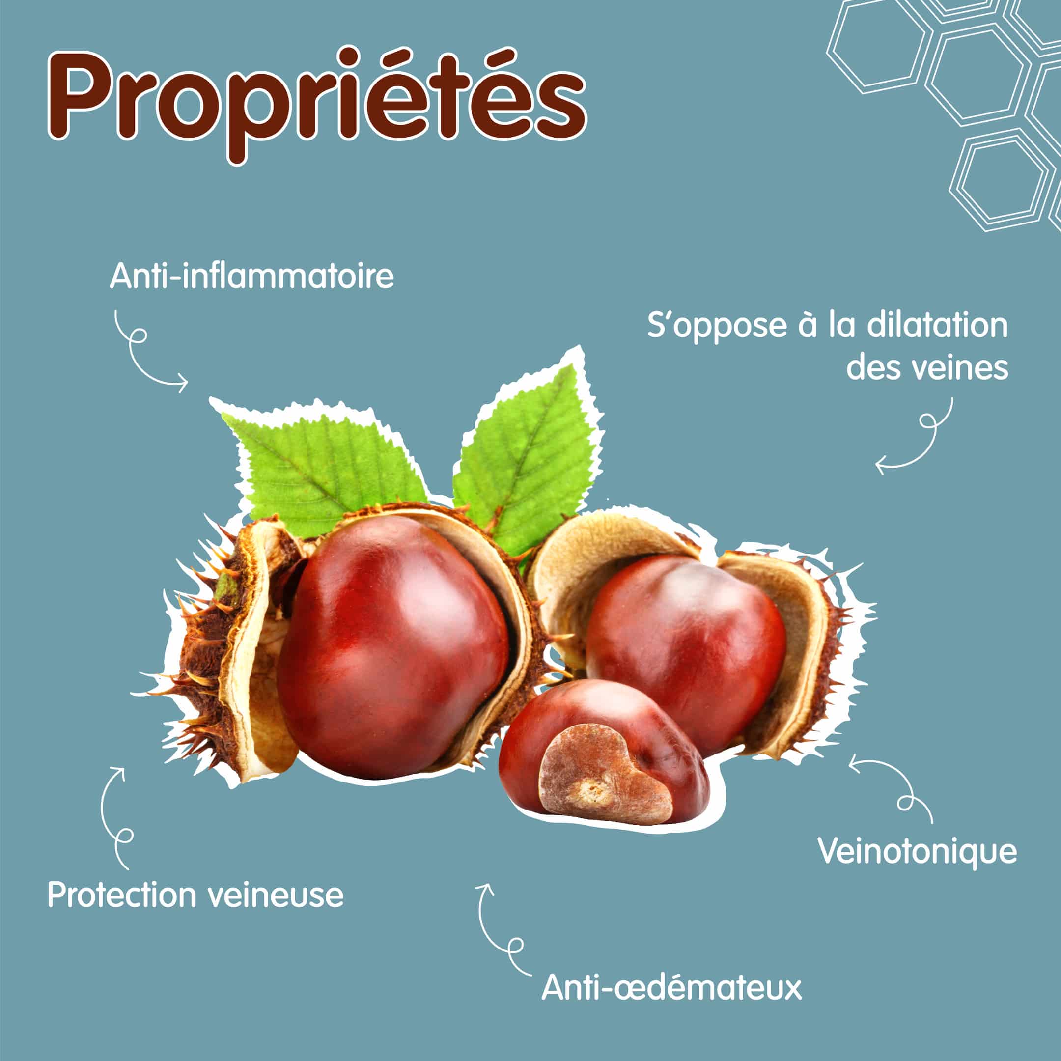 propriétés du marronnier