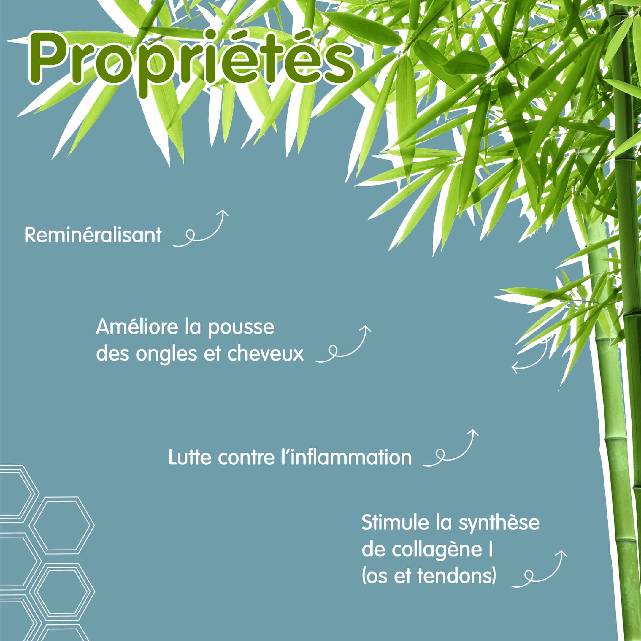 Propriétés Bambou