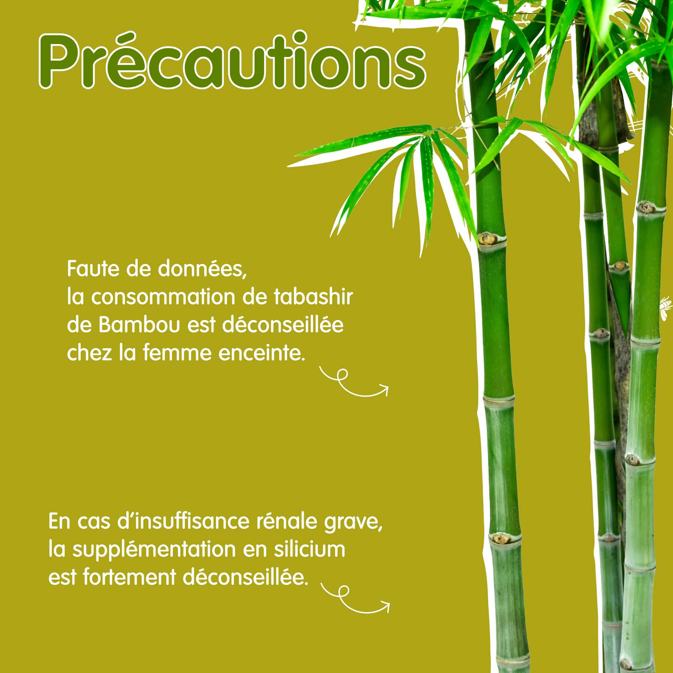 Précautions bambou