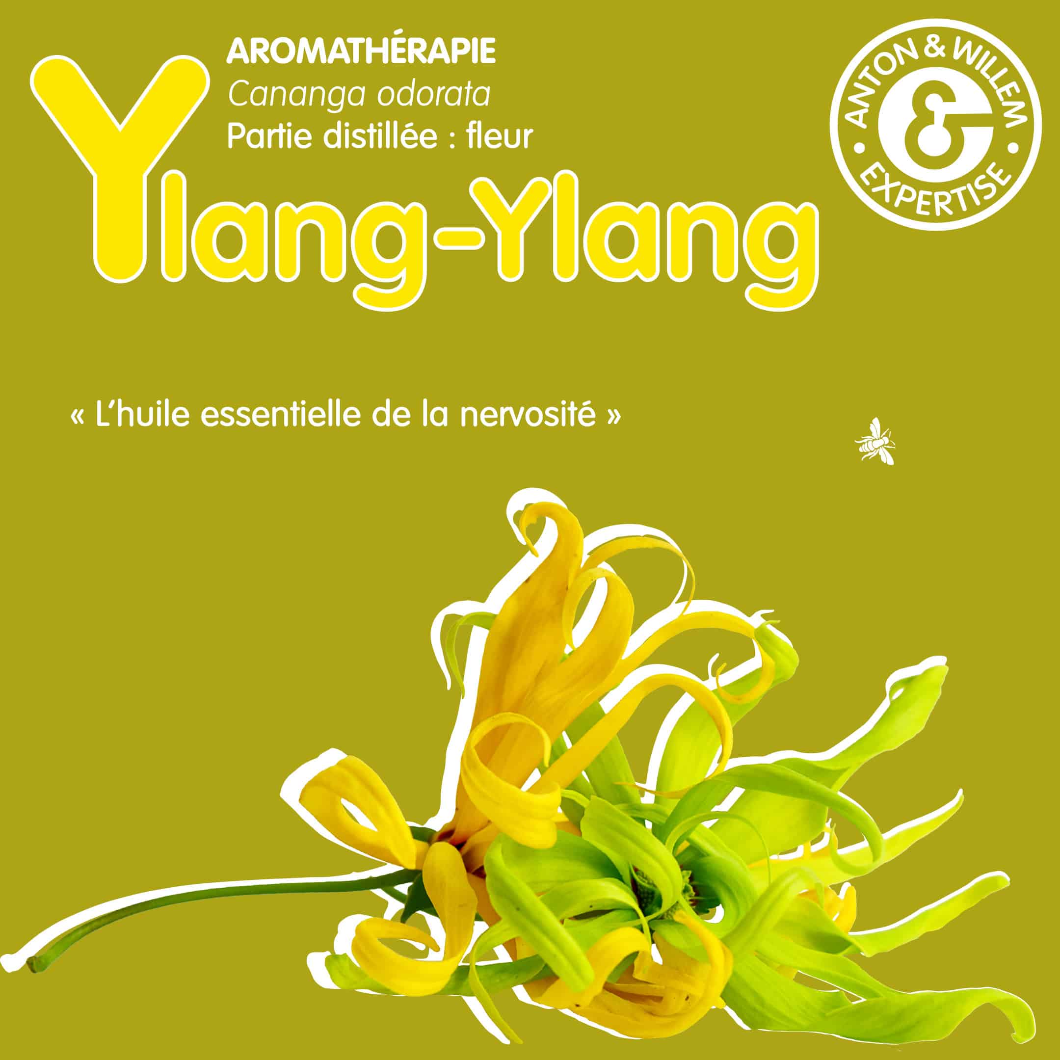 RS Ylang HE 1 Ylang ylang