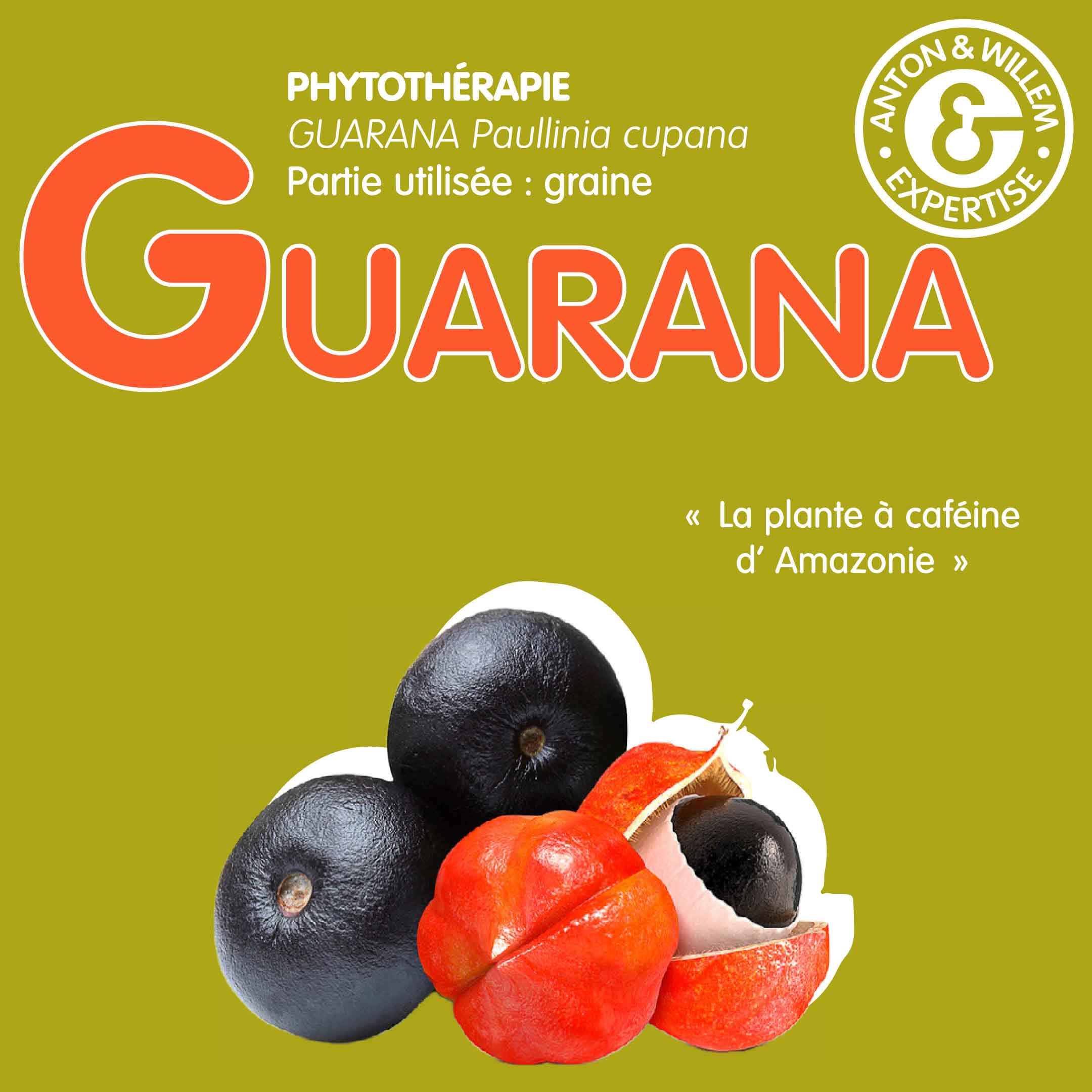 Guarana