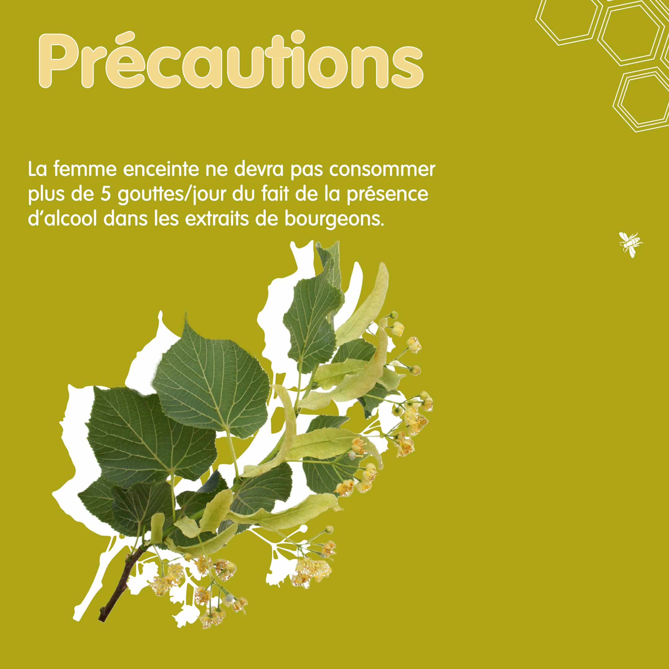 RS Tilleul Bg 3 Précautions Tilleul