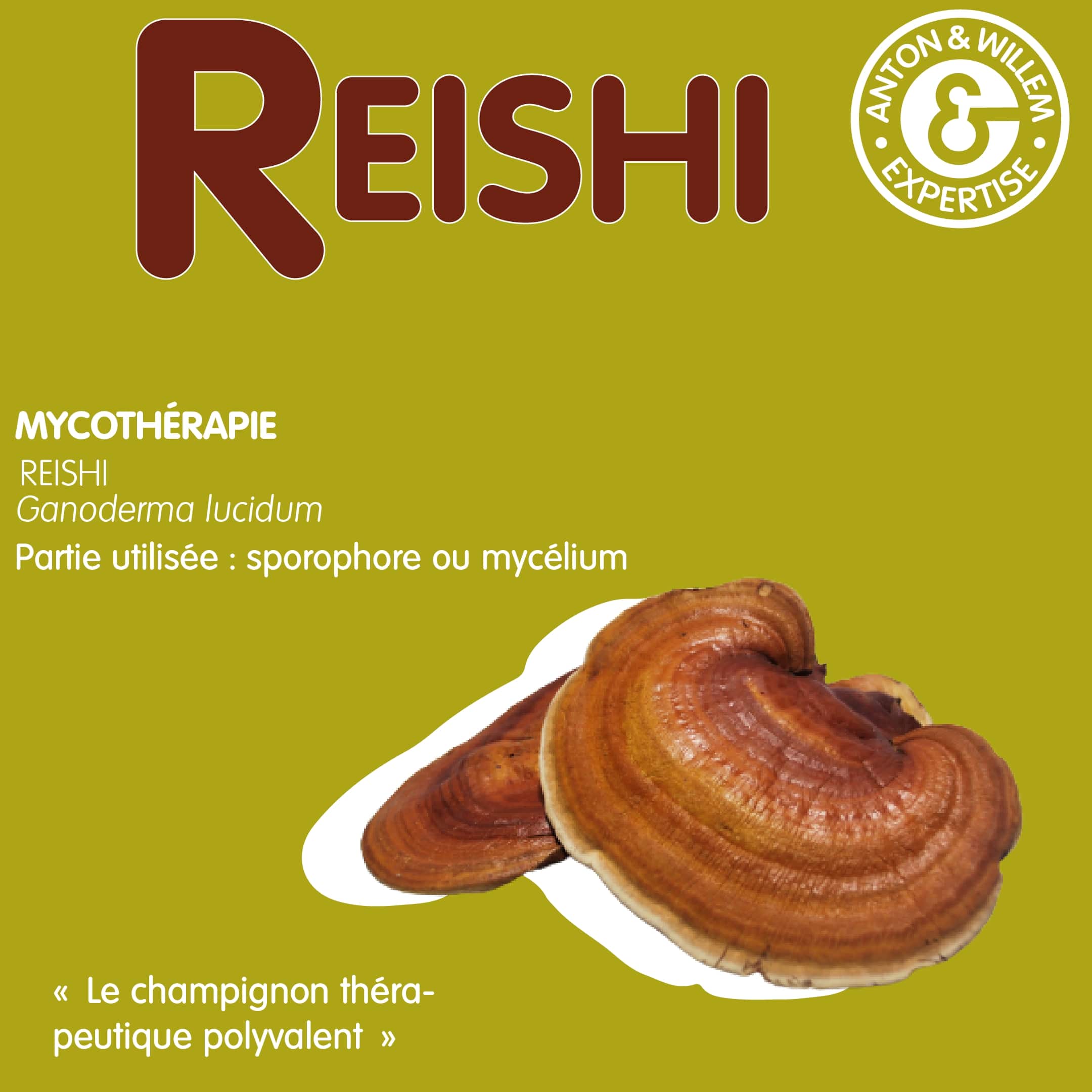 Reishi