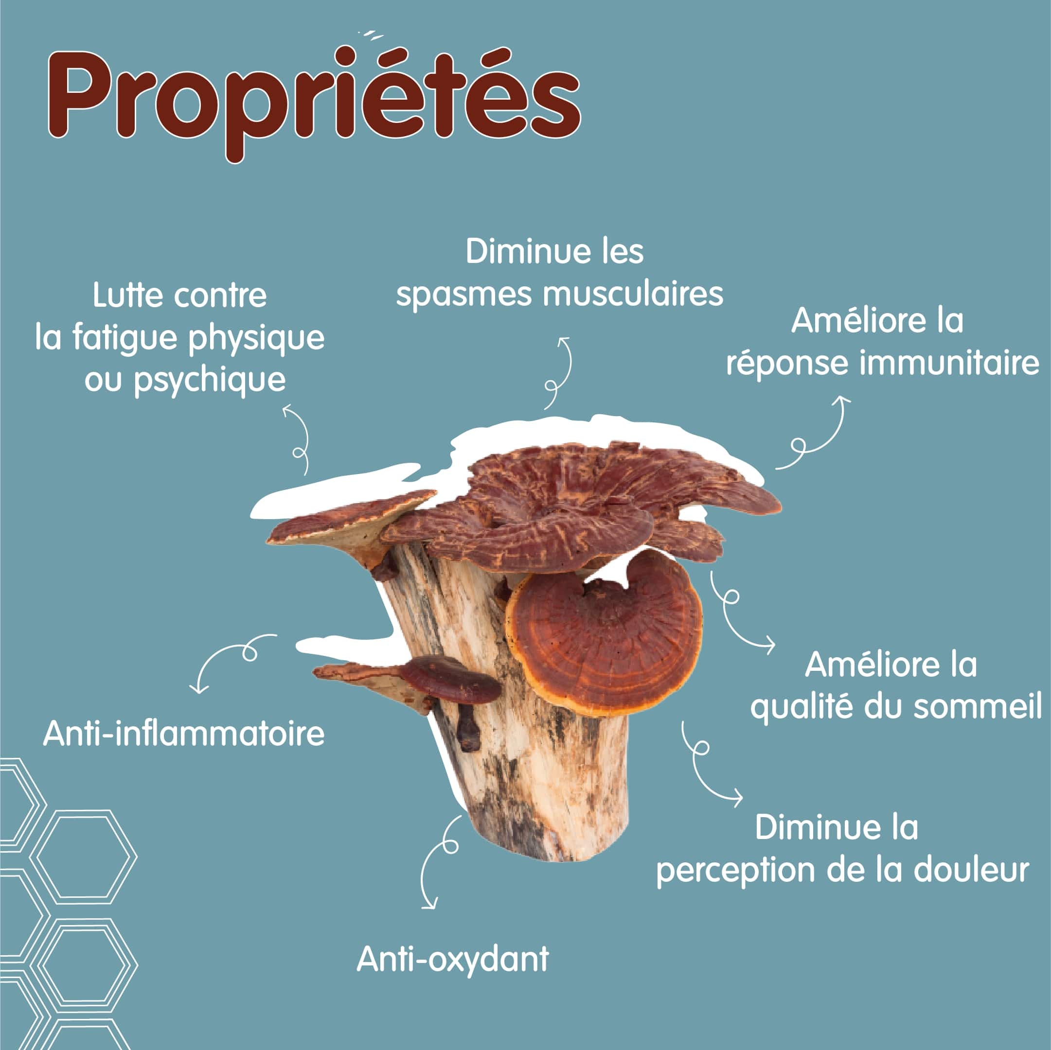 Propriétés Reishi