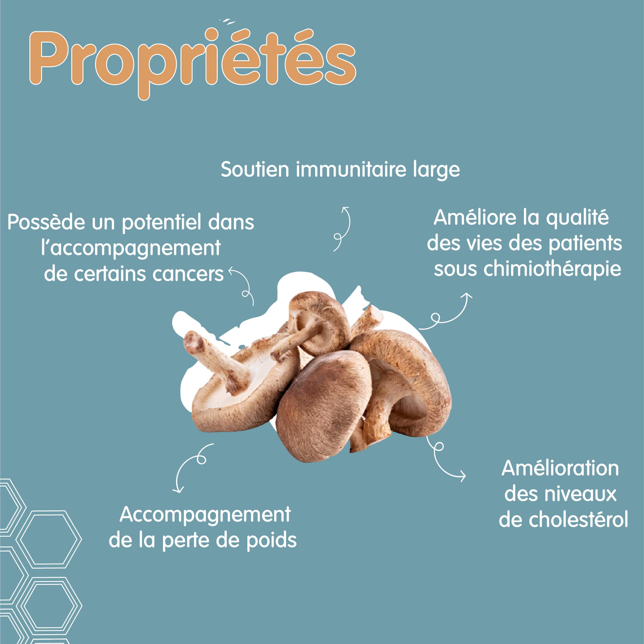 Propriété du Shiitaké Propriété du Shiitaké
