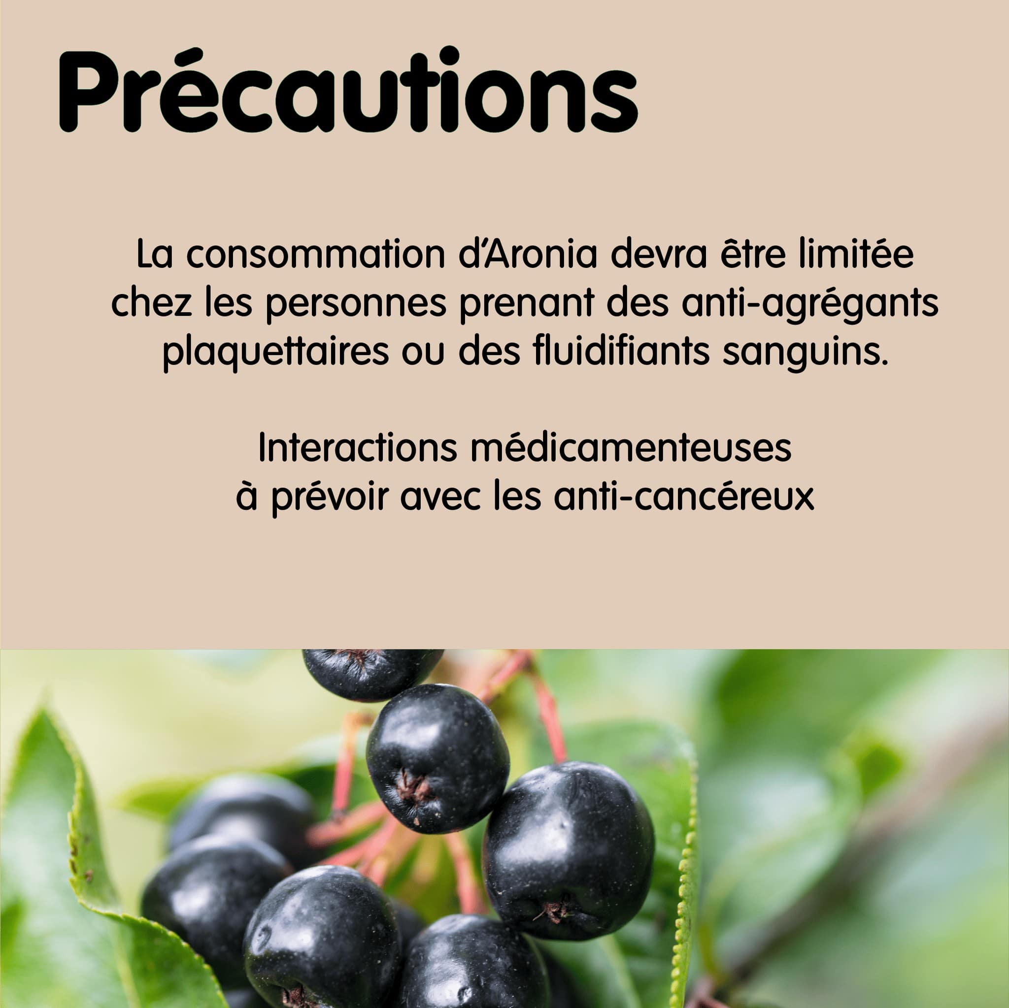 Précautions de l'aronia Précautions de l'aronia