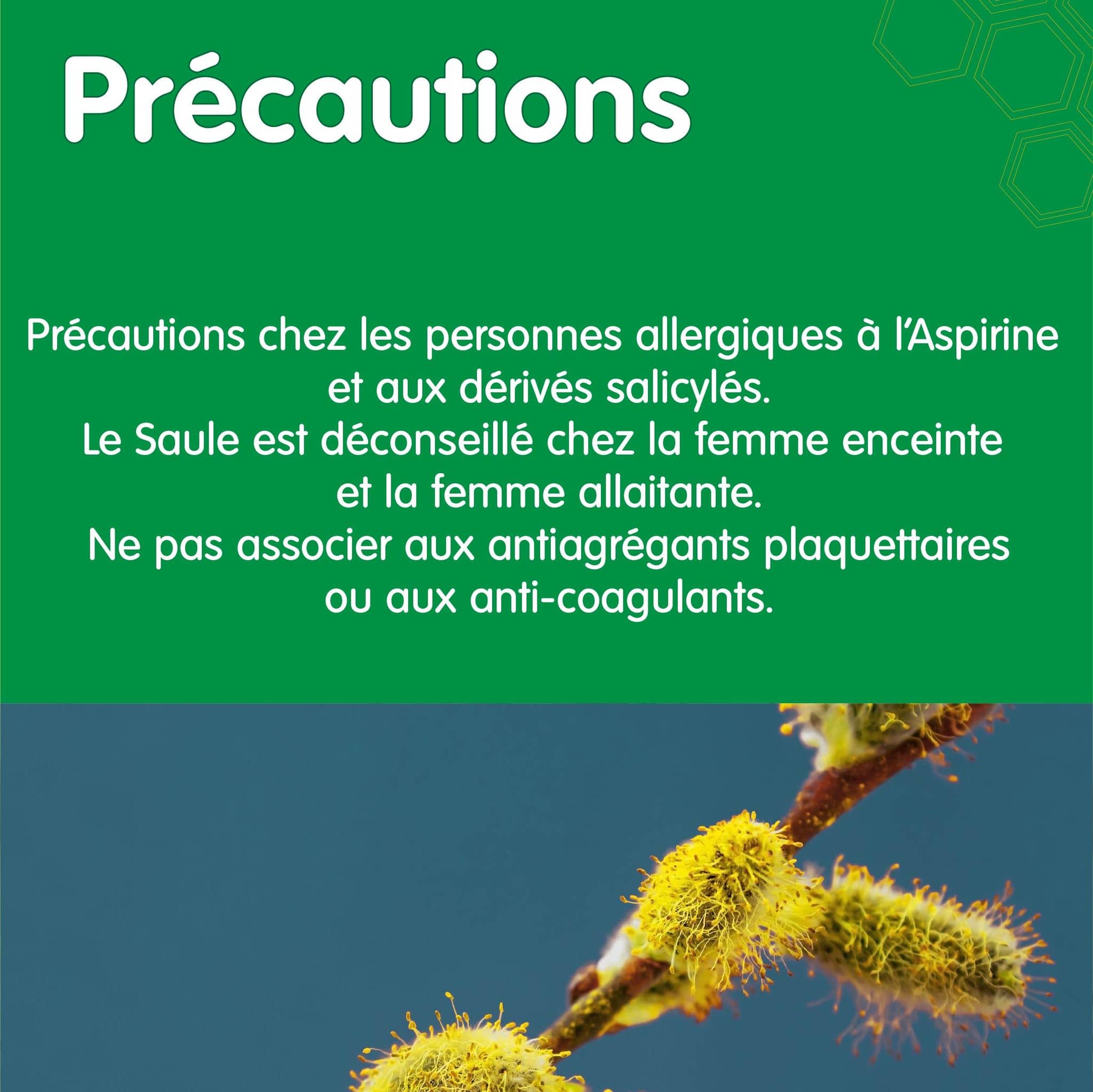 Précautions du saule