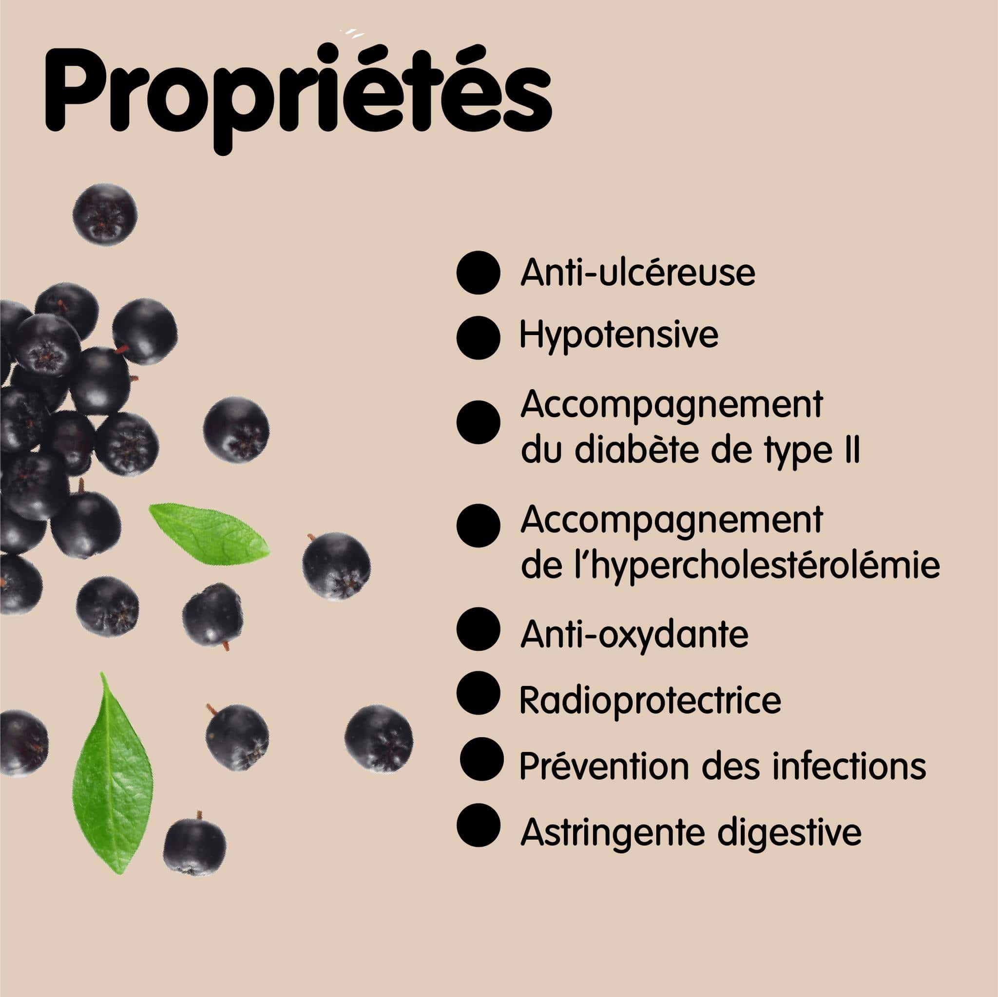 Propriétes de l'aronia