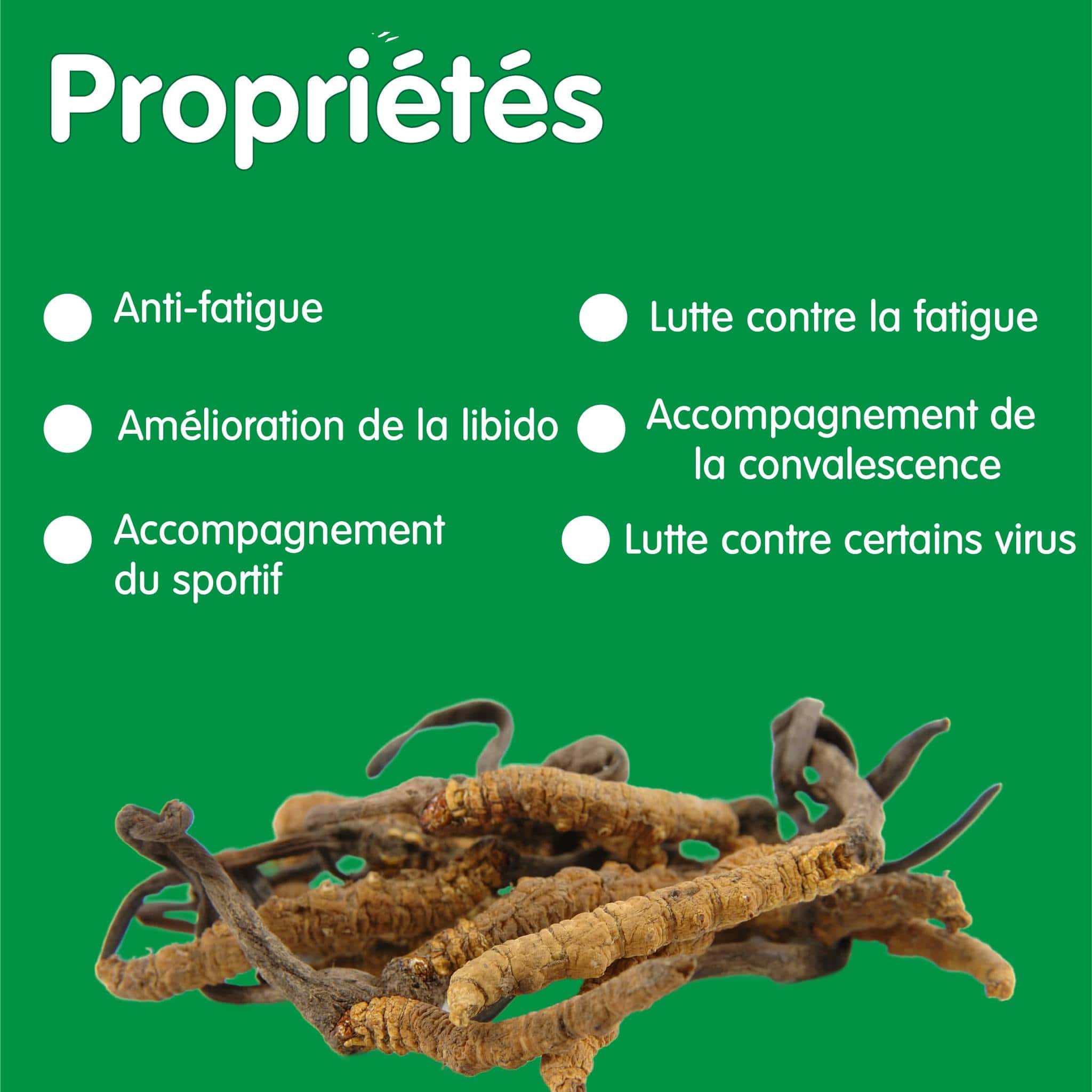 Propriétés du Cordycepts