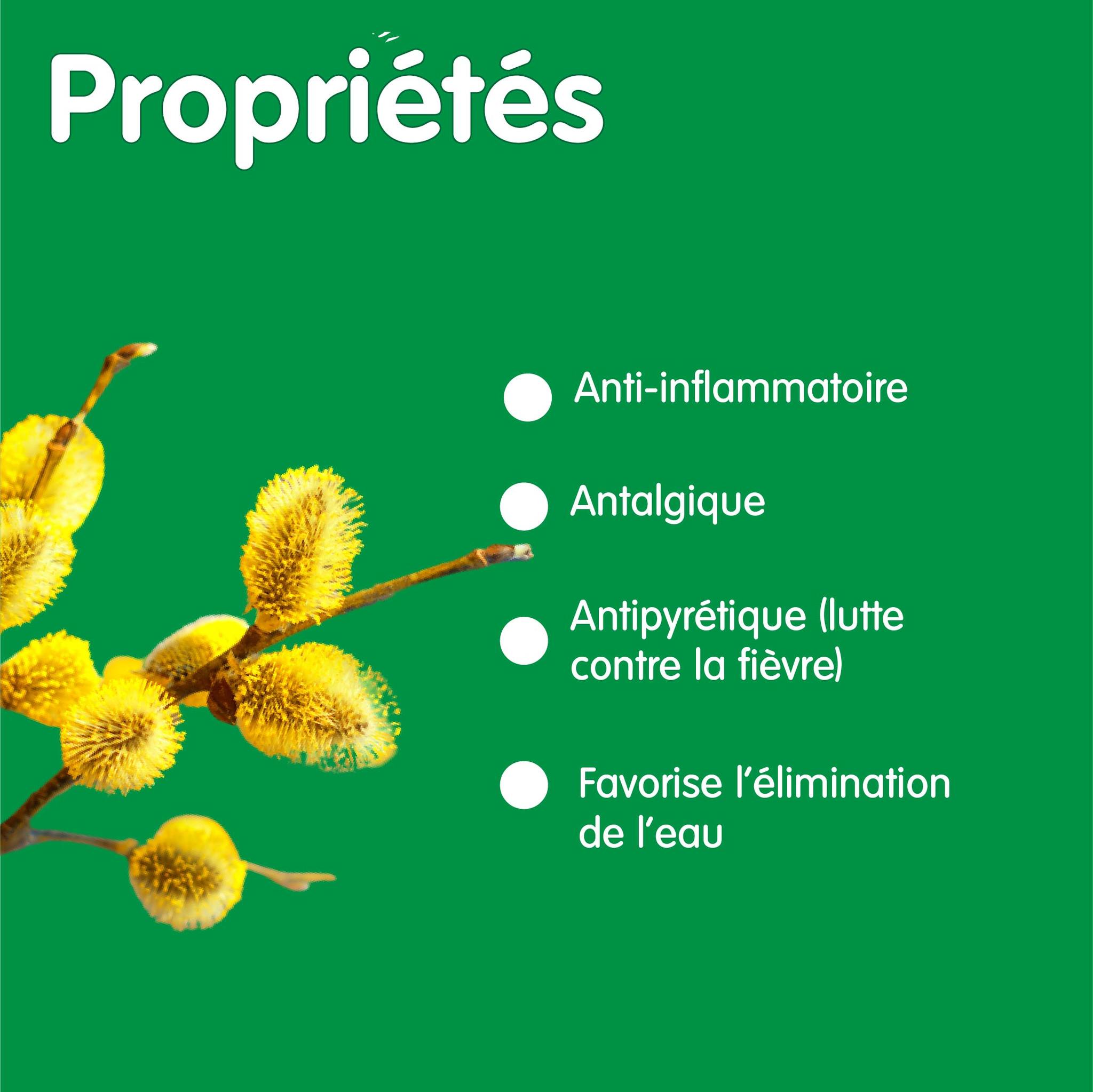 Propriétés du saule