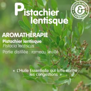 Pistachier lentisque avantages Pistachier lentisque avantages
