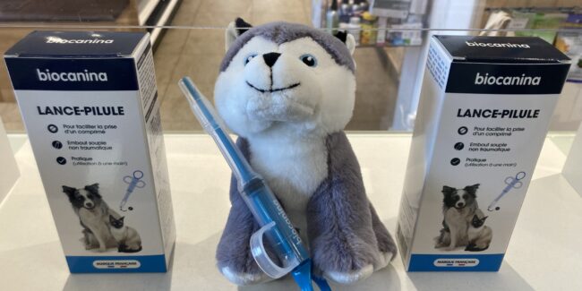 Lance pilule pour animaux