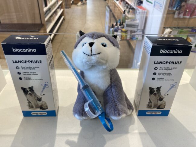 Lance pilule pour animaux