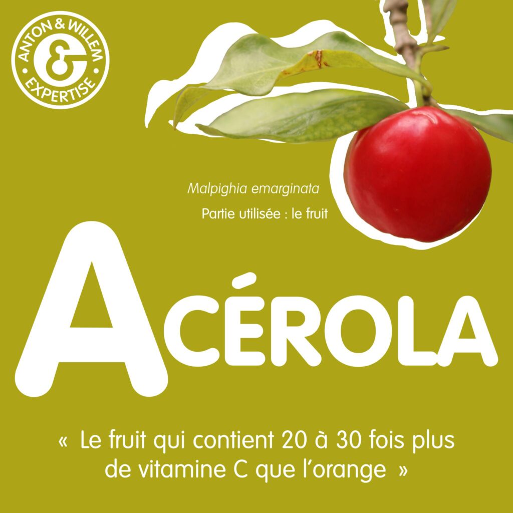 Acérola Acérola