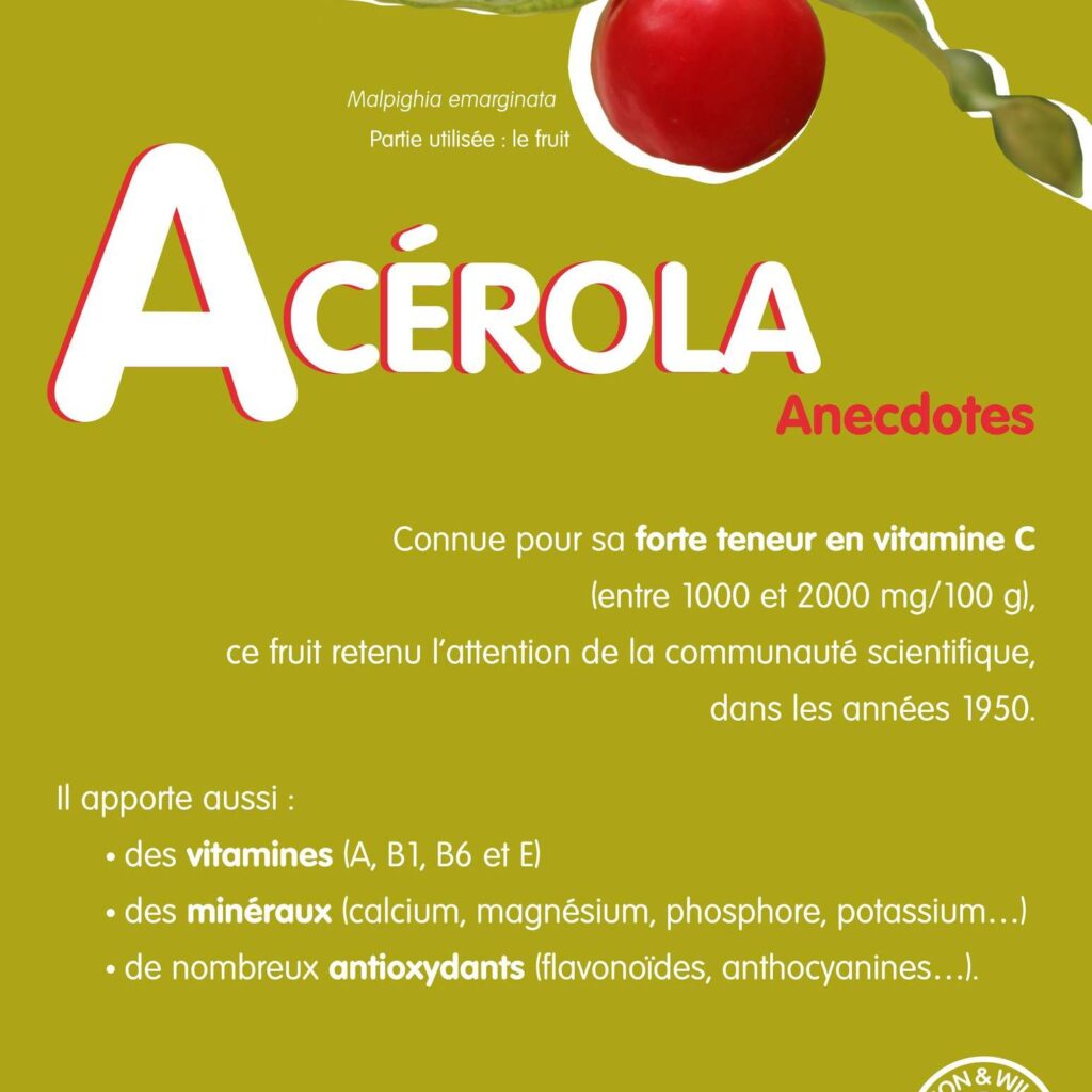 Acérola anecdotes Acérola anecdotes