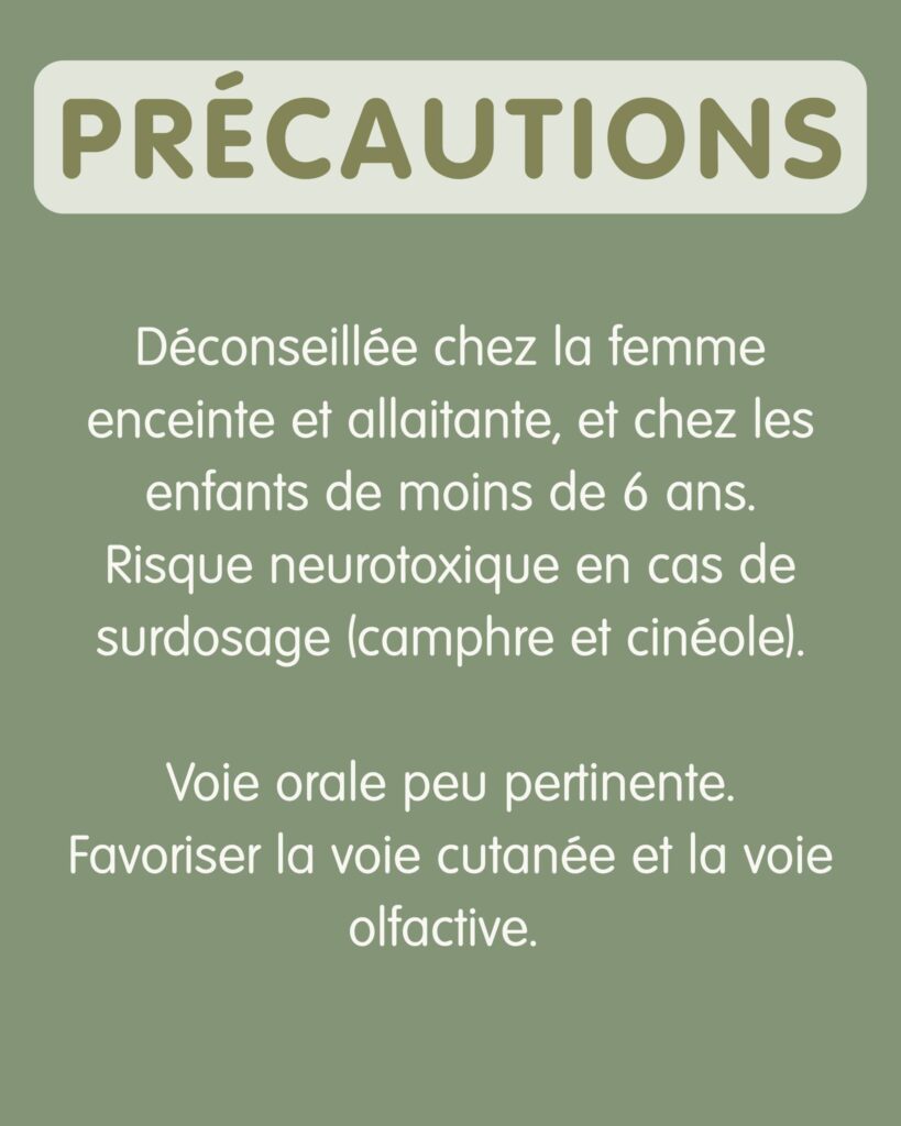 Précautions avec le romarin