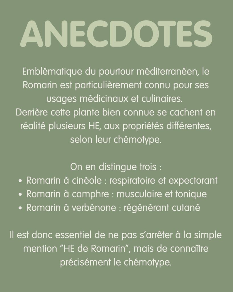 Romarin anecdotes