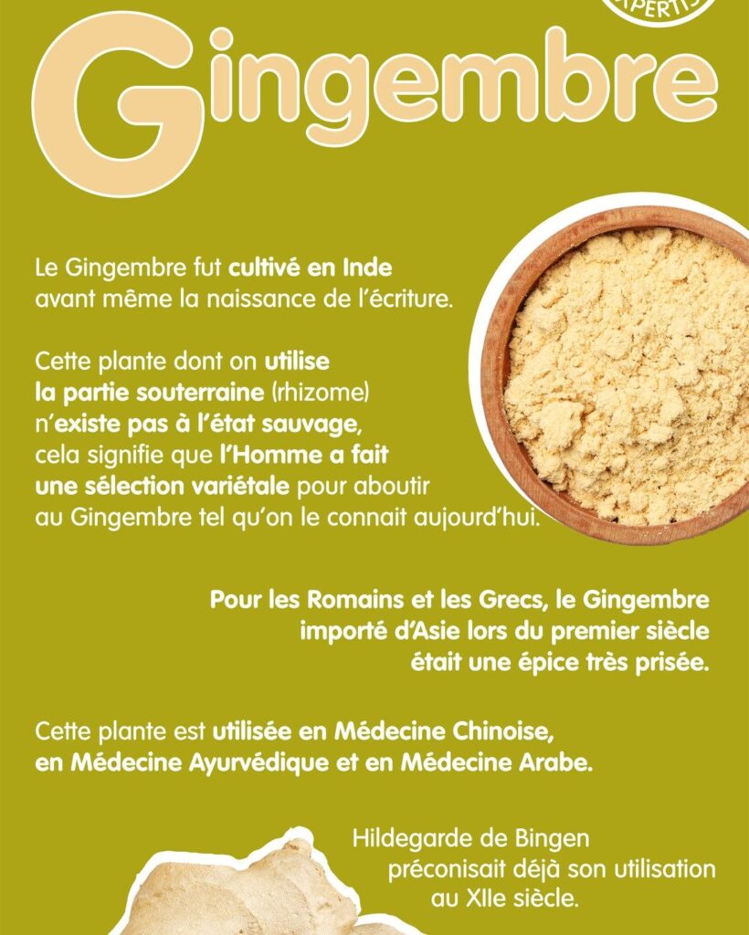 Avantages du gingembre