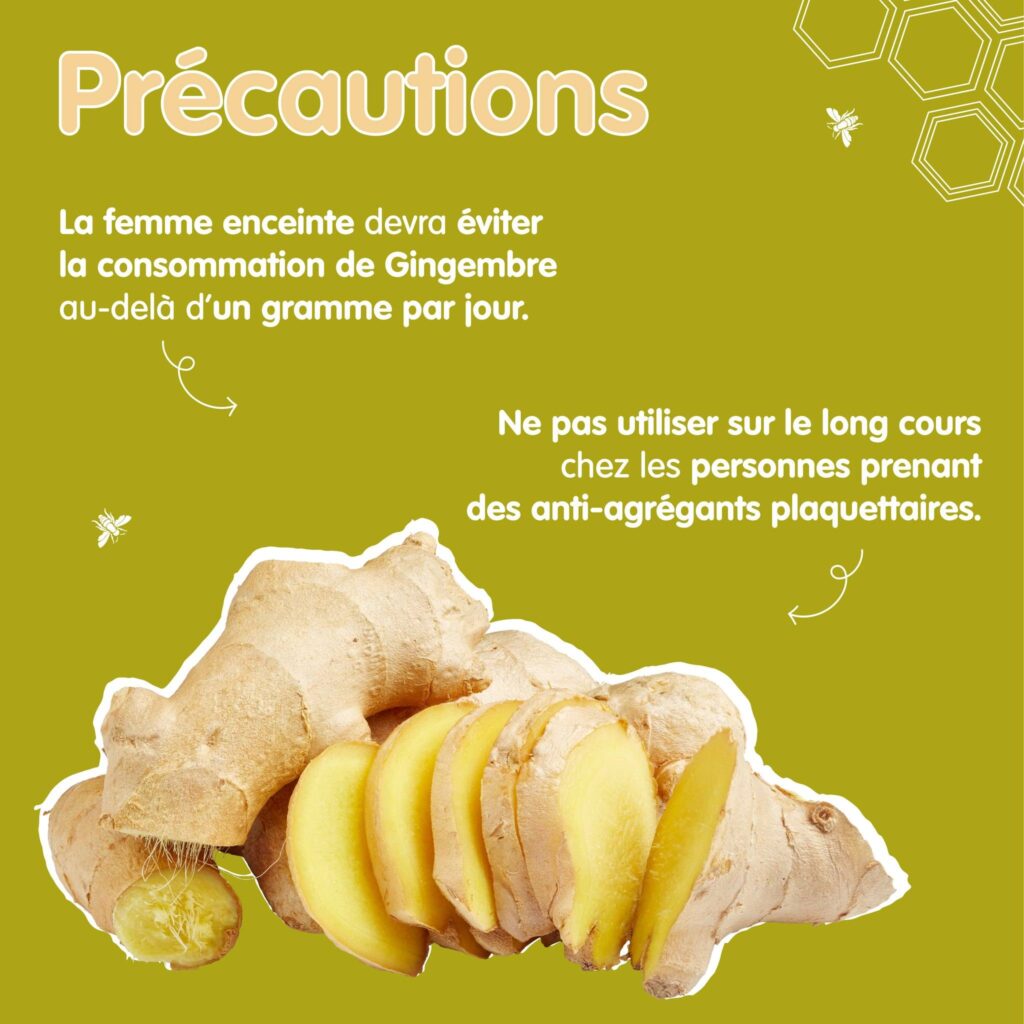 Précautions gingembre