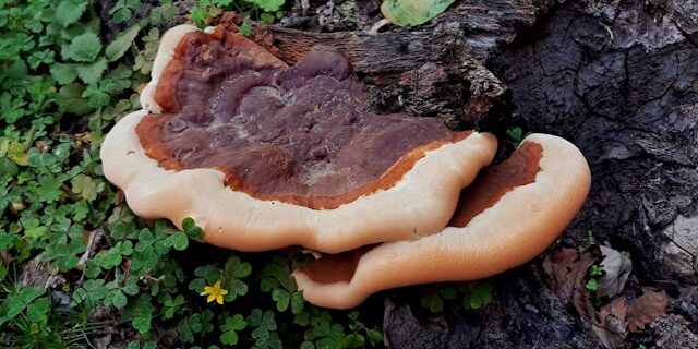 mahdi kordi F YfuGd69Wk unsplash