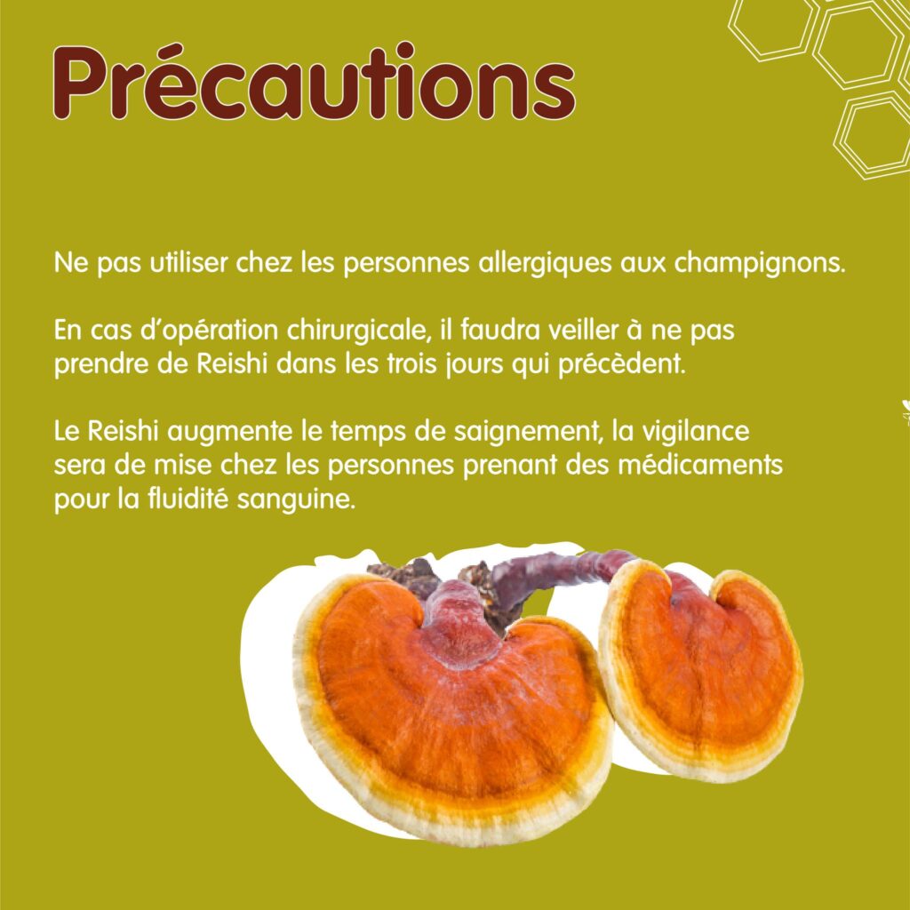 Précautions du reishi
