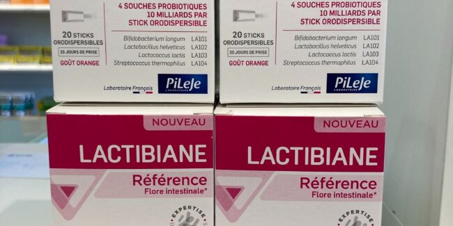 Lactibiane Référence Stick