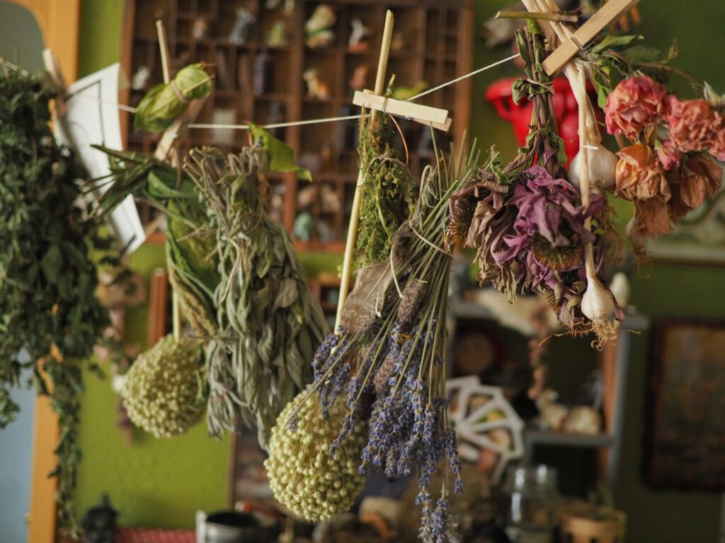 Plantes sechées